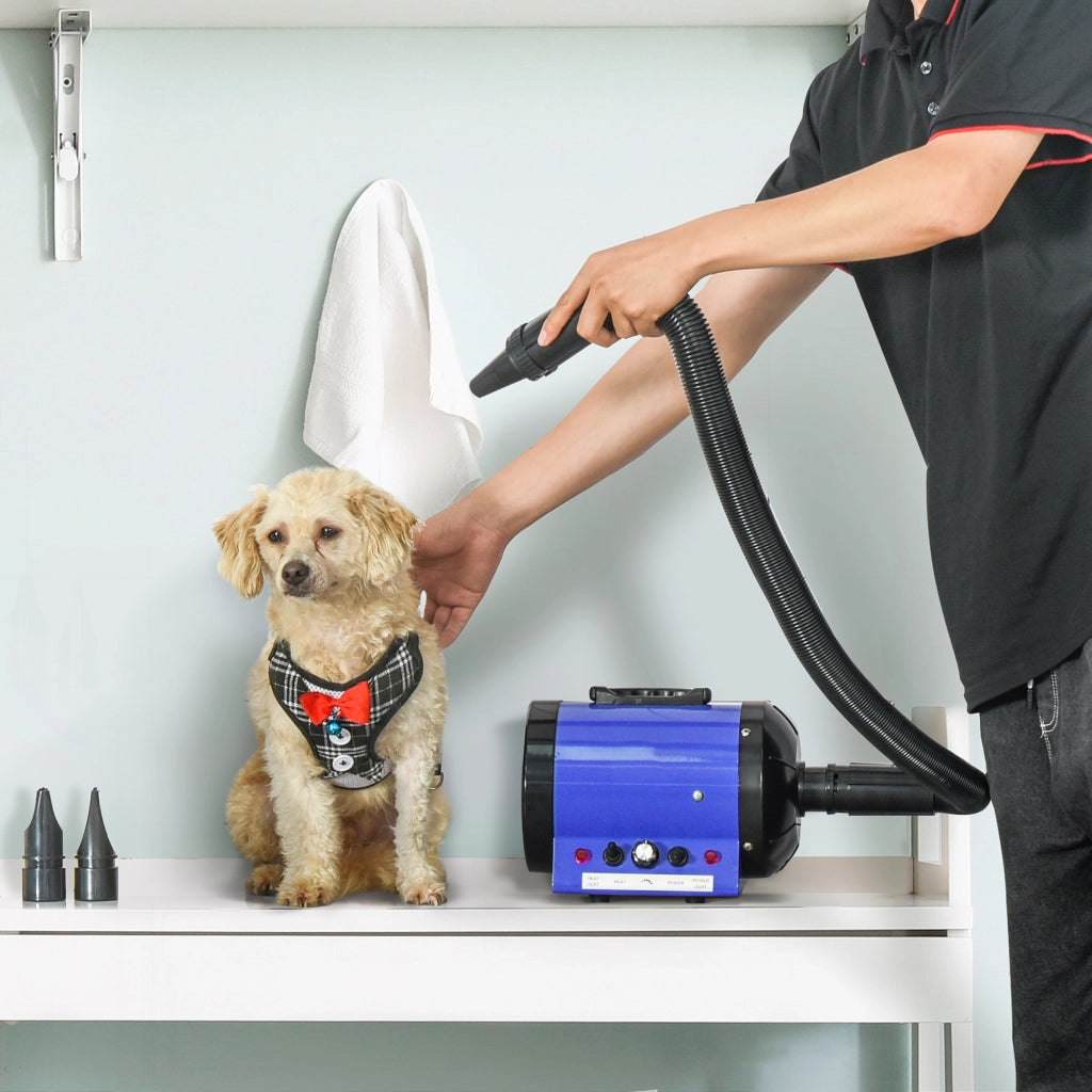 Asciugatore per Cani e Gatti Professionale ¨C Zephmum ¨C 2800W, Blu, con 3 Buse