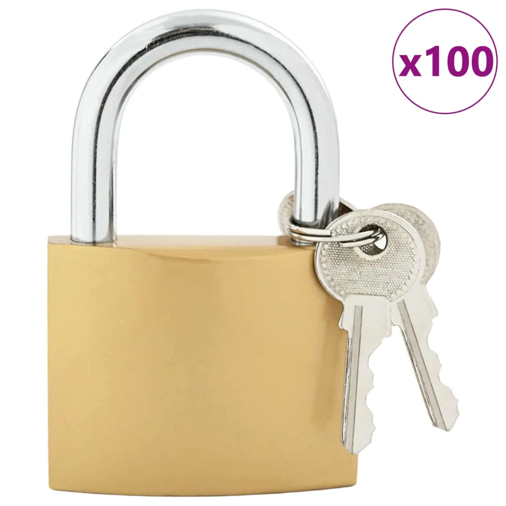 U Lock con Chiavi Ottone 6 x 2 x 9,1 cm Ferro CFW7160879