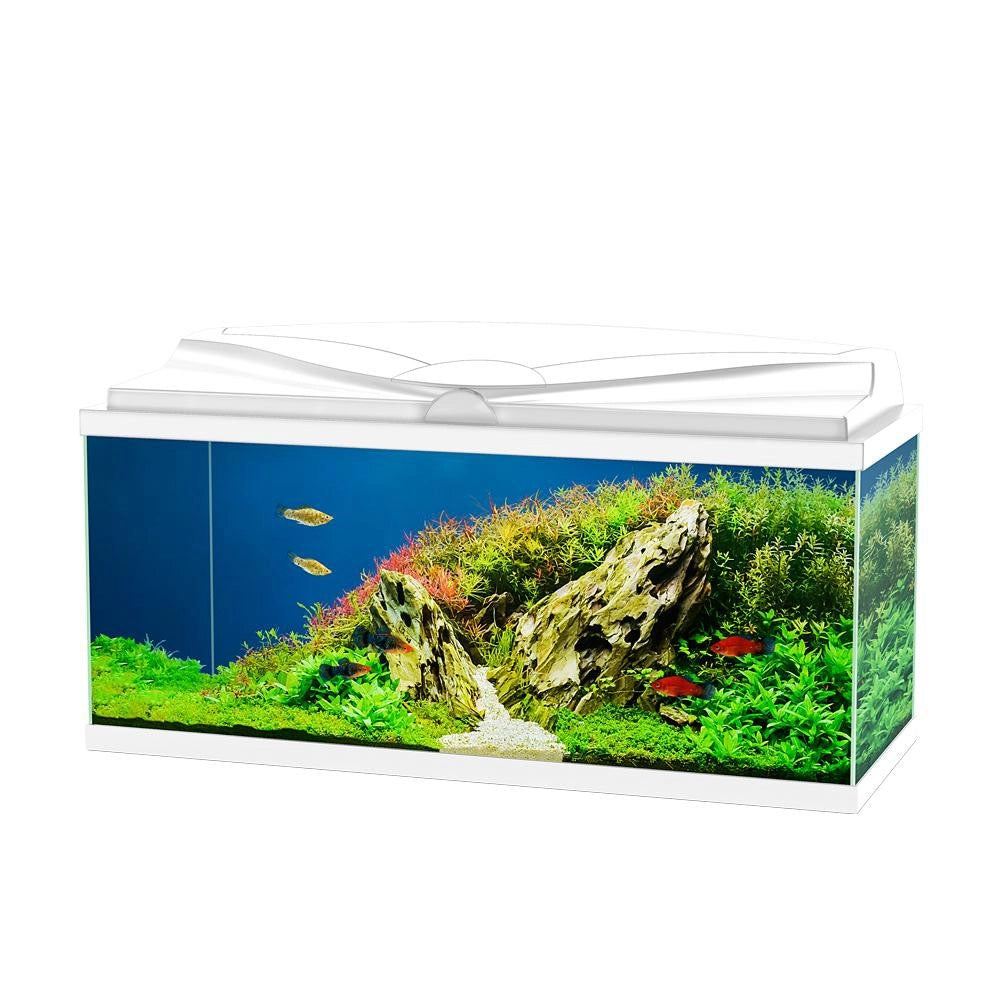 Ciano Acquario Aqua 80 LED cm80x30x41,5h Colore: Bianco