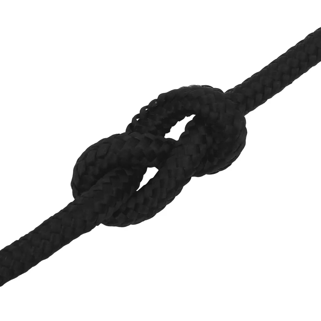 Corda da Lavoro Nera 14 mm 25 m in Poliestere 152830