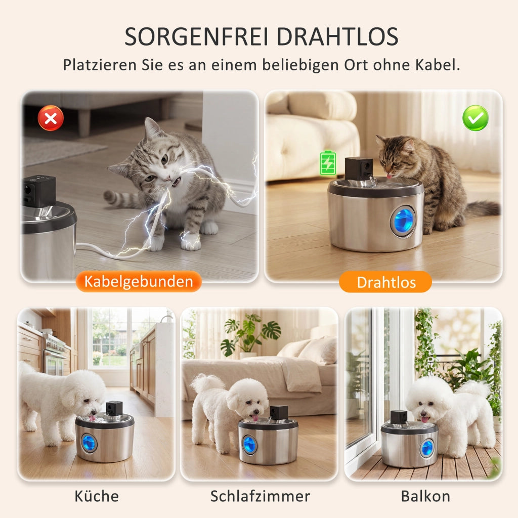 Fontana per Gatti 4L Senza Fili Acciaio Inox con Sensore Movimento 6 Filtri LED ¨C Xylo ¨C Argento