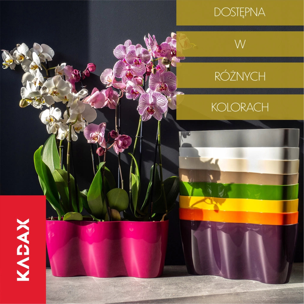 Vaso da fiori KADAX, Vaso da fiori, Vaso da fiori in plastica, Orchidea, 35 cm, Beige