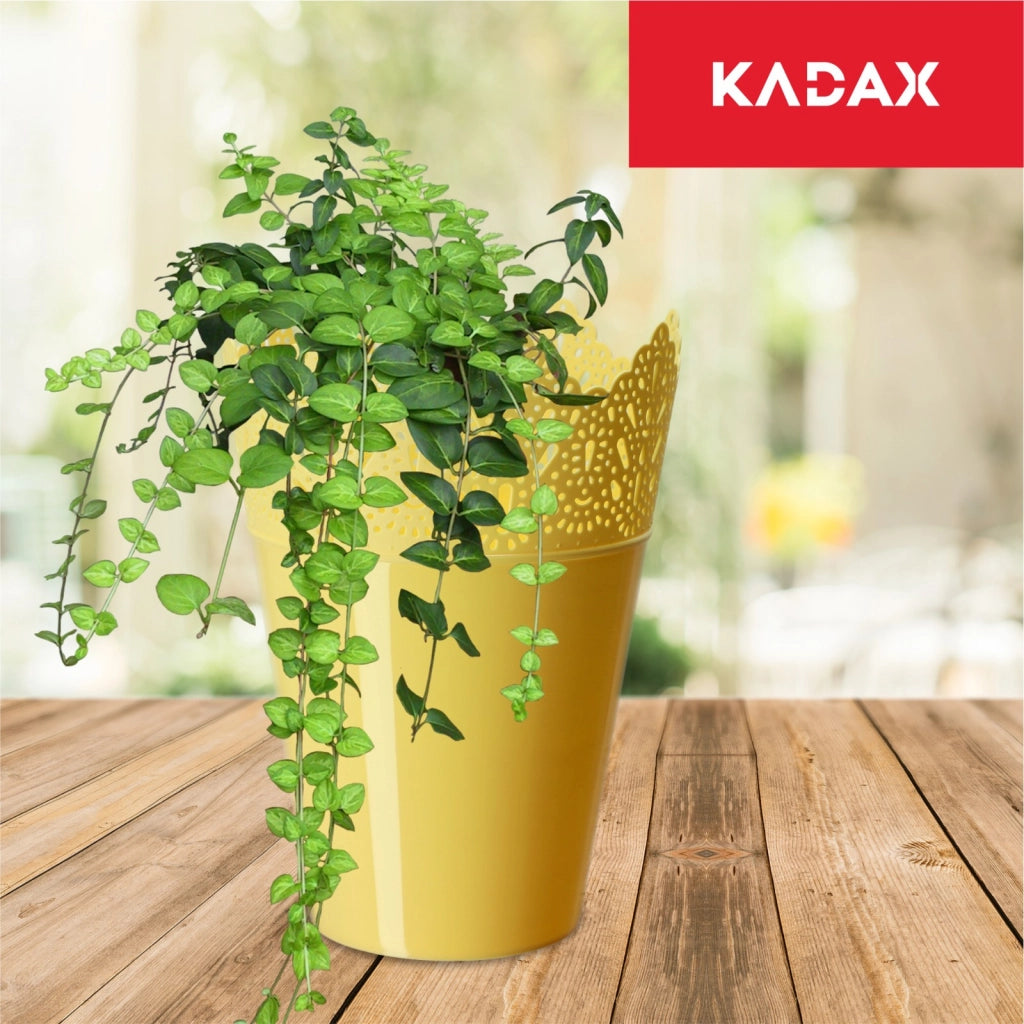 Vaso da fiori KADAX, vaso da fiori, coperchio, vaso da fiori alto in plastica, 14,5 cm, giallo