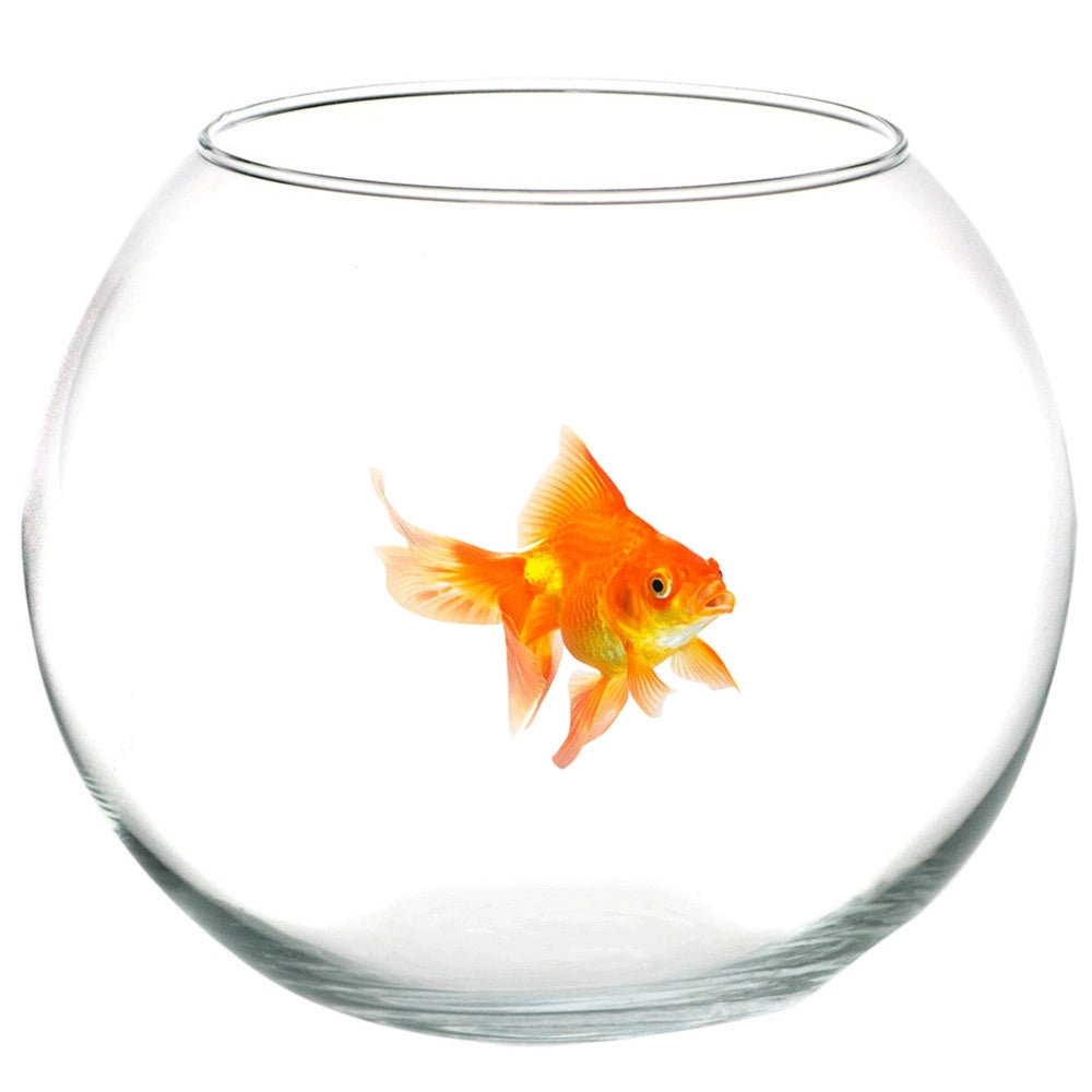 Trade Shop - Ampolla Boccia Per Pesci In Vetro 25 Cm Acquario Pesce Rosso Centro Tavola Casa -