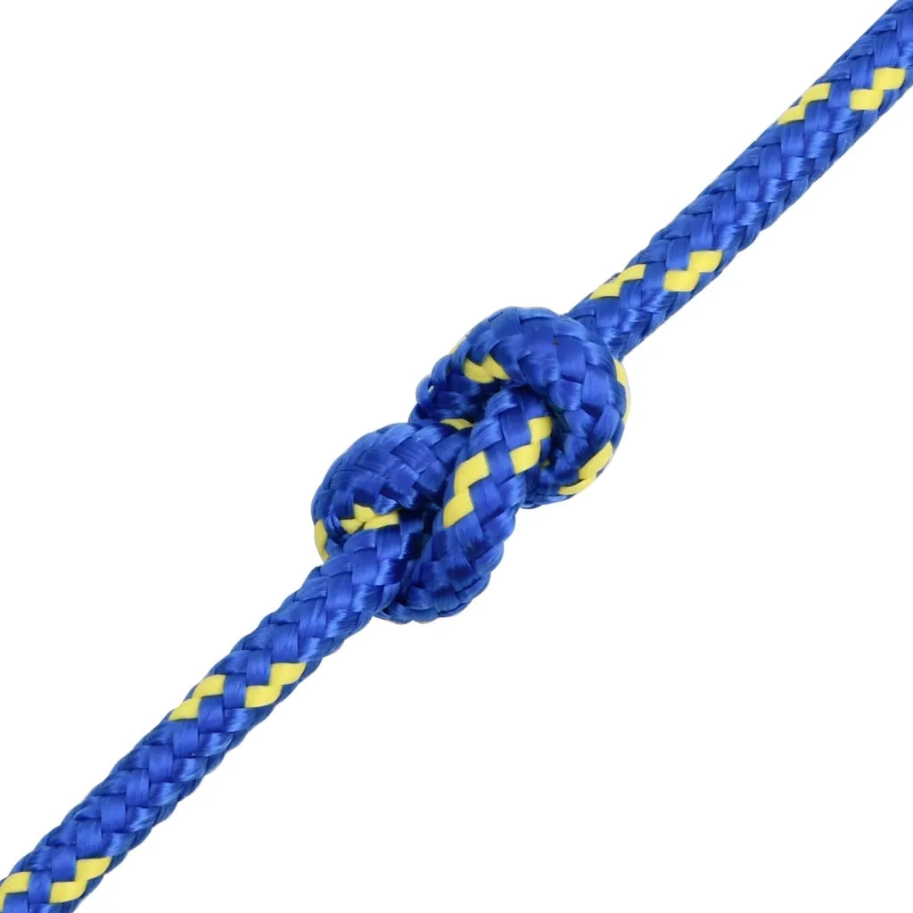 Corda per barca Blu 8 mm 25 m in Polipropilene 152448