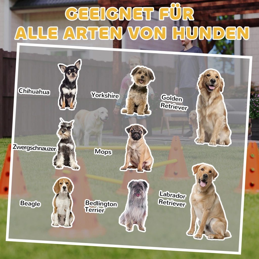 Set Agility per Cani con 6 Coni e 3 Ostacoli ¨C zephmum ¨C Nero