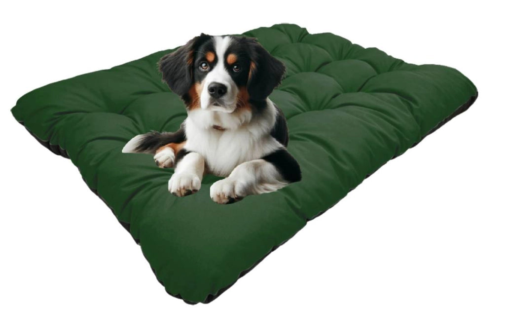 AIO FACTORY 80x60 cm PRESTIGE Cuccia per cani impermeabile personalizzabile Verde