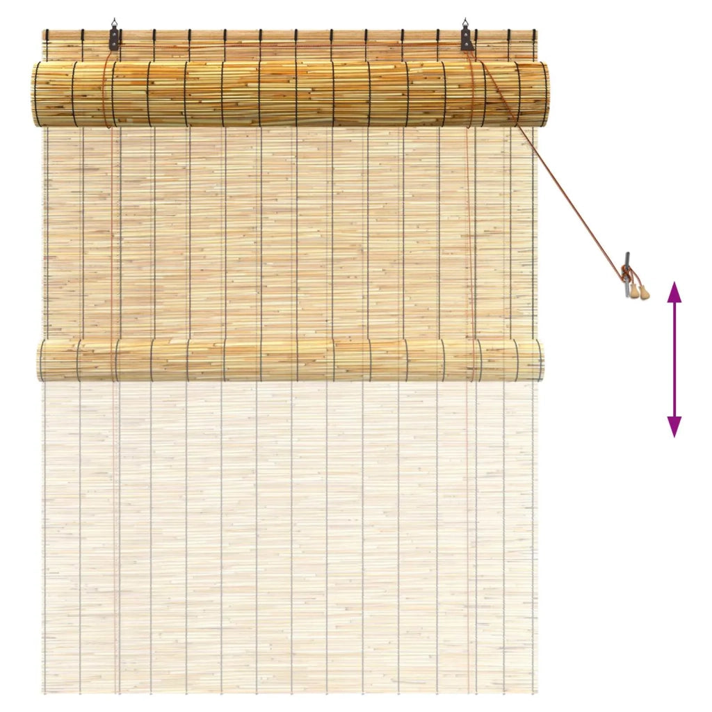 Tenda a rullo Naturale 120 x 160 cm Giunco 42034646