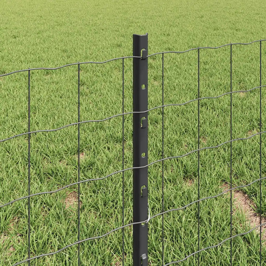 Recinzione da Giardino | Recinzione con Posto Grigio
