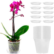 Set di vasi per orchidee trasparenti - 10 pezzi - vasi decorativi - plastica