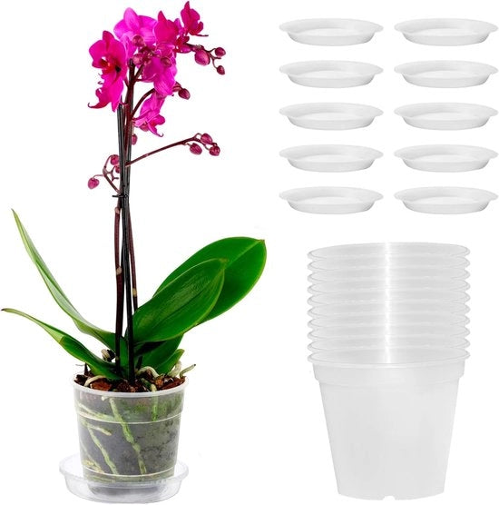 Set di vasi per orchidee trasparenti - 10 pezzi - vasi decorativi - plastica