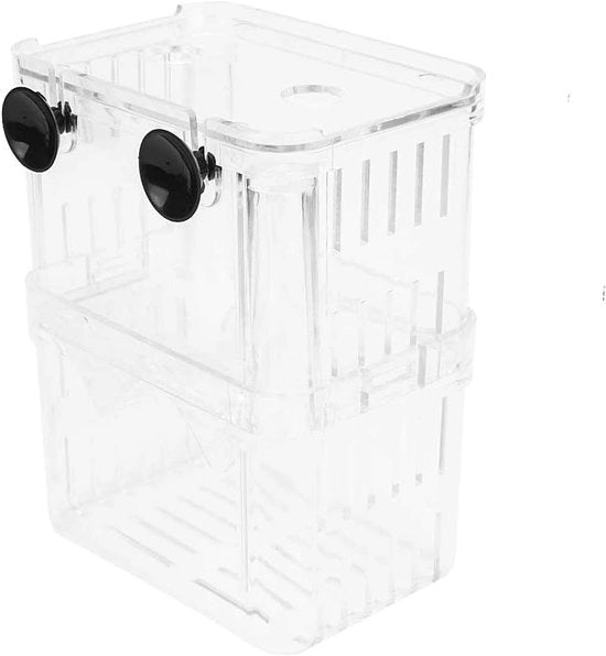 Contenitore per coltivazione - Design a doppio strato - Maniglie antiscivolo - Realizzato in materiale plastico resistente - Corrosione - Dimensioni 10 x 7 x 13 cm - Contenitore per crescita