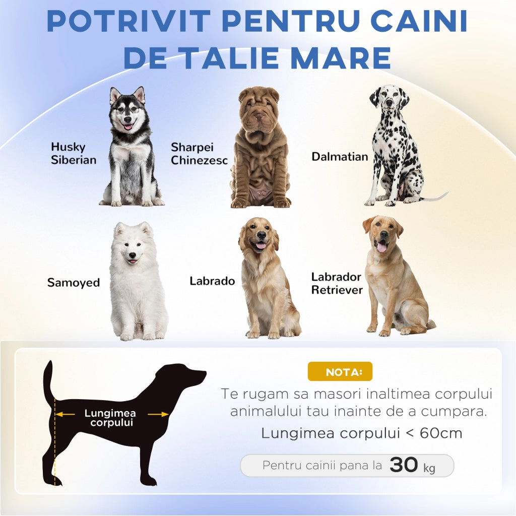 Divano per Cani in Legno di Eucalipto ¨C Xylo ¨C Verde 98x67x25 cm