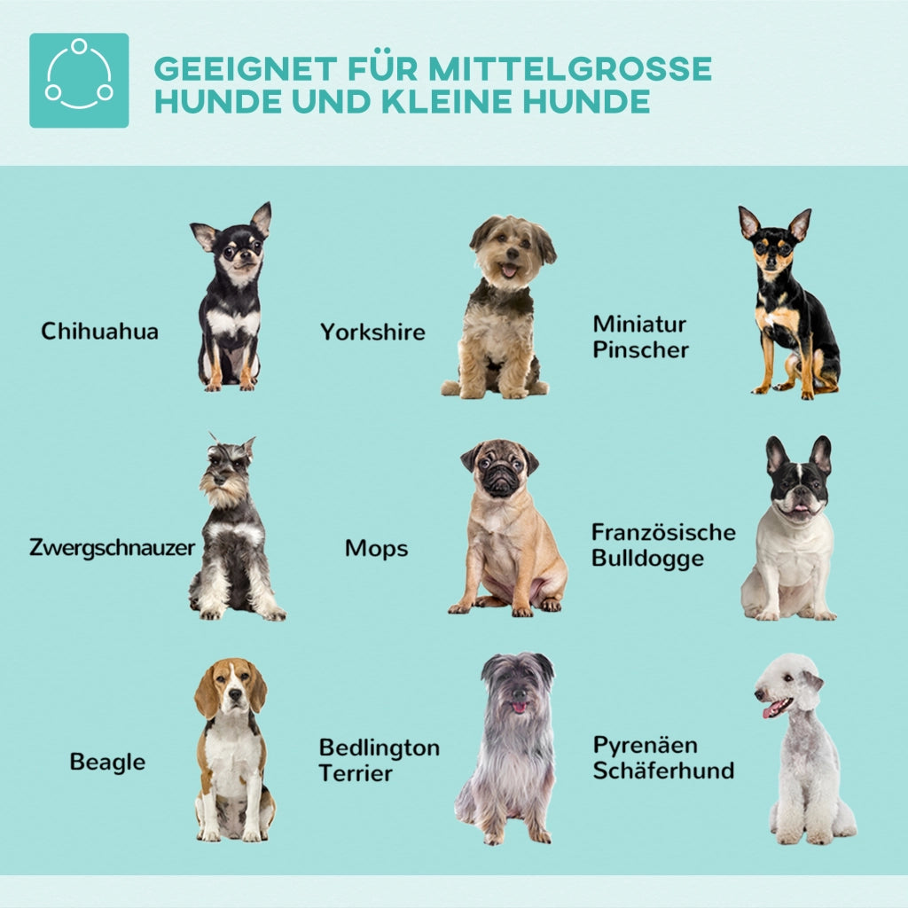 Tavolo da toelettatura per animali domestici ¨C Xylo ¨C Regolabile in altezza, 36x24x74 cm, Argento