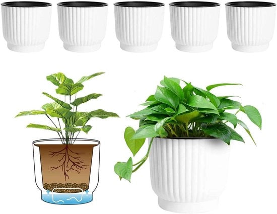 Piantina Automatica Idraulica - Plastica - Set da 6 - Bianco - Colori Macarone
