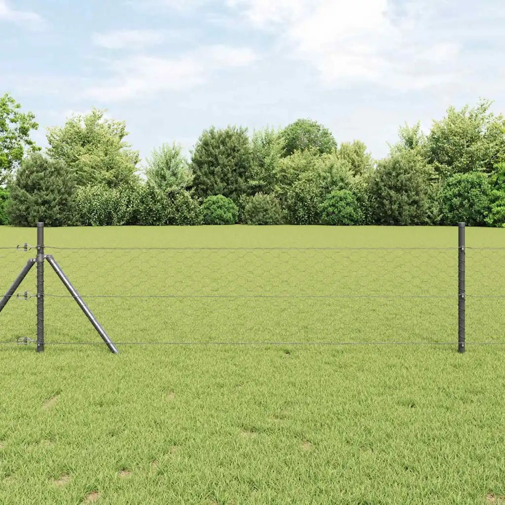Recinzione Esagonale Grigio 1 x 100 m PVC 42005608