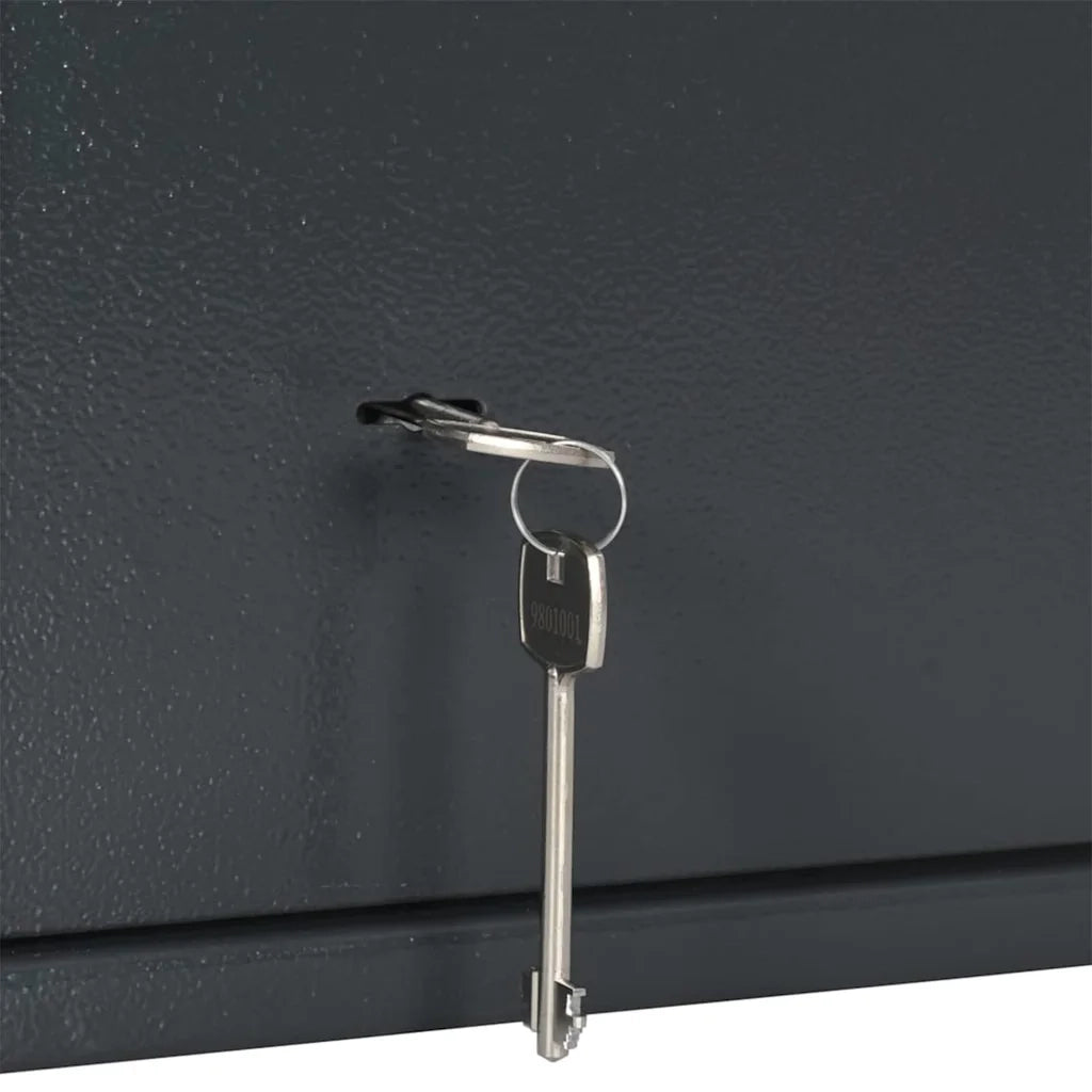 Cassaforte con blocco Grigio scuro 35 x 25 x 25 cm Acciaio 42011315