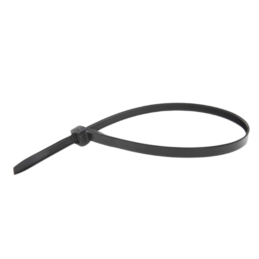 Raytech fascette per cablaggio in nylon autoestinguente confezione da 100 pezzi *** colore nero, dimensioni 2,5 x 135...