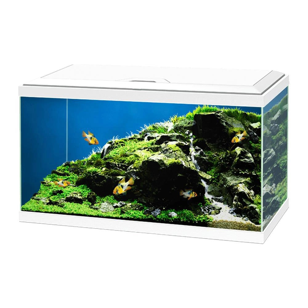 Ciano Acquario Aqua 60 LED cm60x30x32h Colore: Bianco