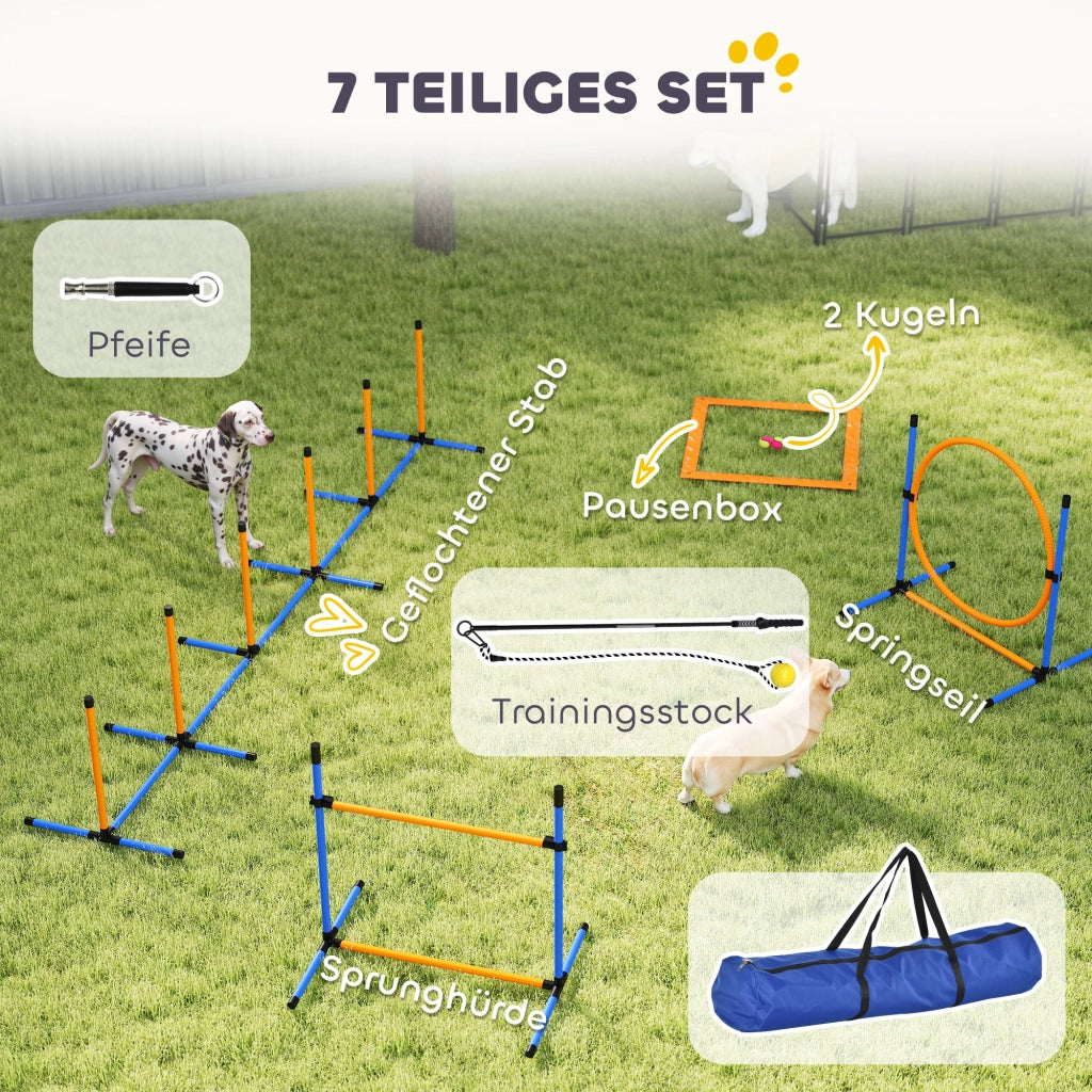 Set Agility per Cani 7 Pezzi ¨C Minimal ¨C Grigio