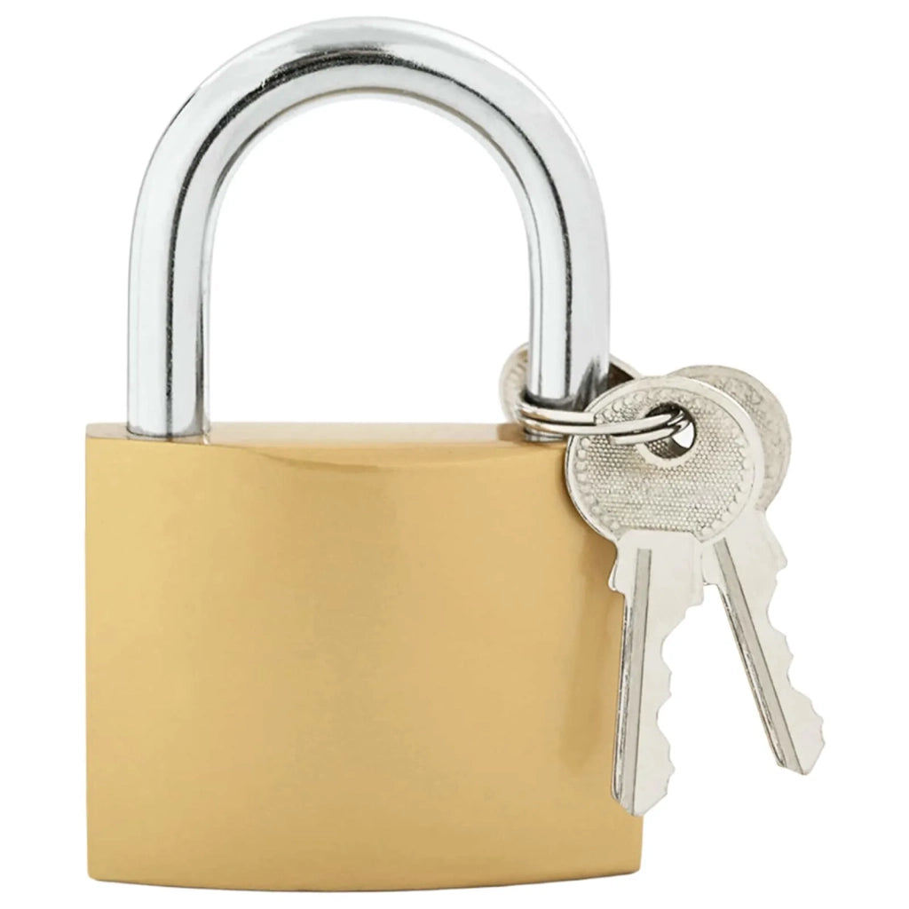 U Lock con Chiavi 6 pz Ottone Ferro CFW3910518