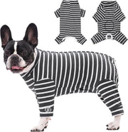 Vestiti da Notte per Cani