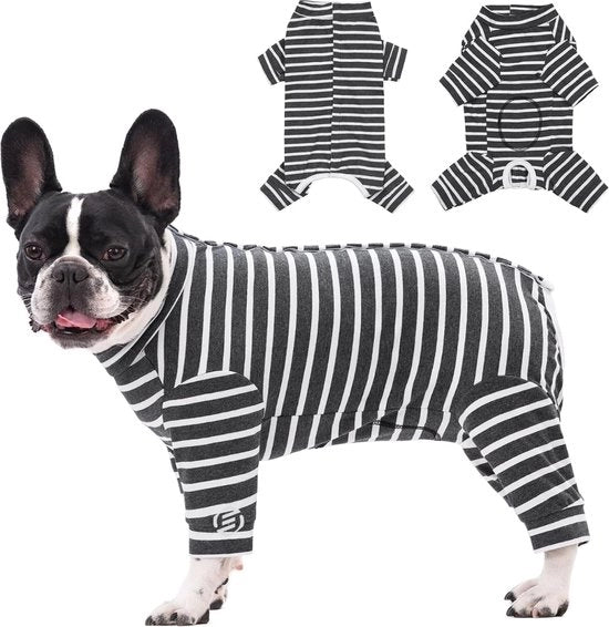 Vestiti da Notte per Cani