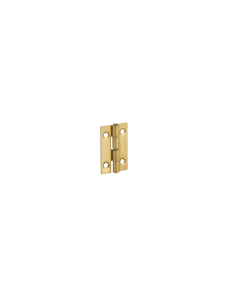 Cerniera per porta 30 x 19 mm, ottone – THIRARD