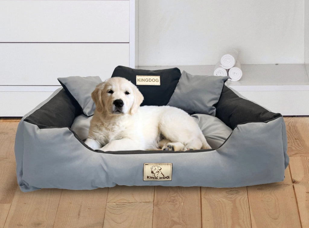 AIO FACTORY 55x45 cm KINGDOG Cuccia per cani impermeabile personalizzabile Grigio scuro