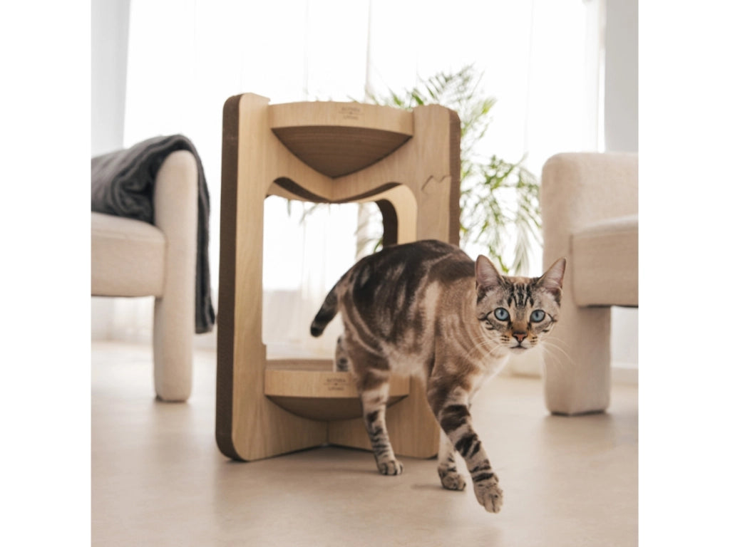 Tiragraffi a torre per gatti VIGÍA con cuccia integrata a due altezze 52 x 52 x 59 cm