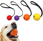 Tessuto per Cani - Giocattolo per Cani - 5 cm - Per lo Sviluppo dei Denti - Adatto per Cani Piccoli e Grandi - 4 Pezzi