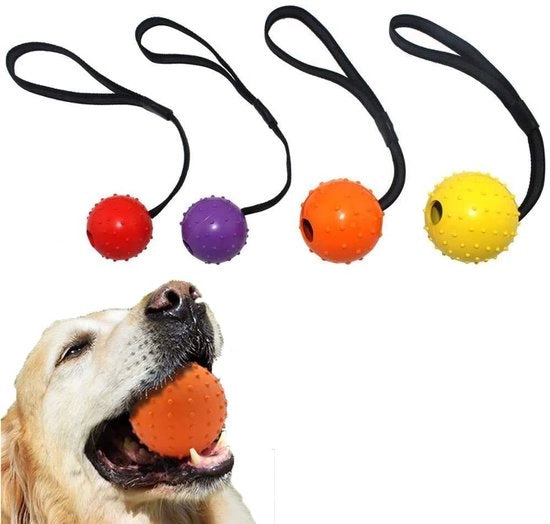 Tessuto per Cani - Giocattolo per Cani - 5 cm - Per lo Sviluppo dei Denti - Adatto per Cani Piccoli e Grandi - 4 Pezzi