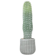 Cactus Artificiale Decorativo 66cm ¨C Xylo ¨C Verde con Vaso