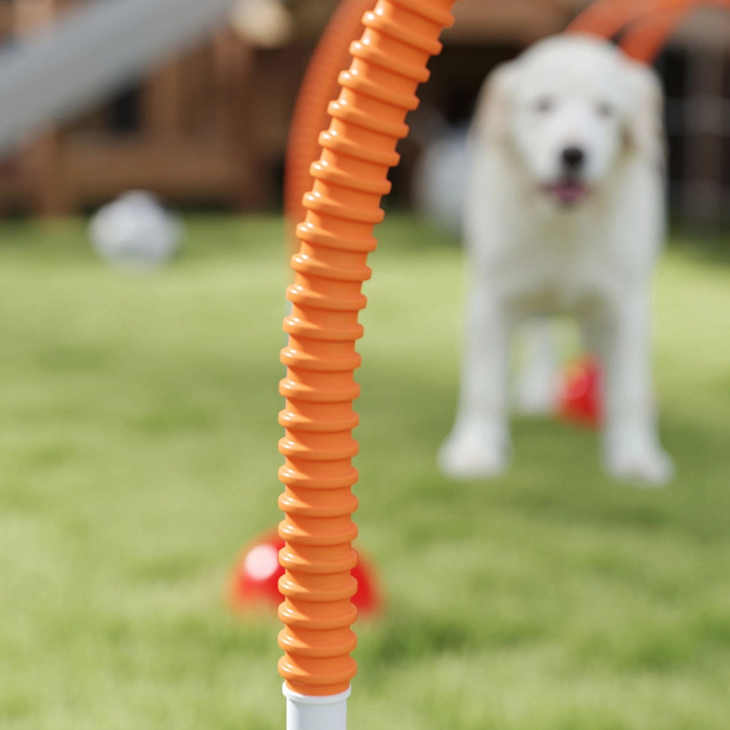 Set Attrezzatura Agility per Cani 4 Pezzi ¨C Minimal ¨C Blu