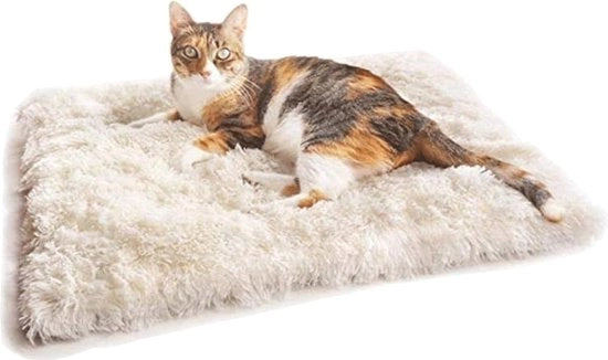 Letto Elettrico Opportuno per Cani e Gatti - Cuscino Termico Lavabile per Casa e Viaggio