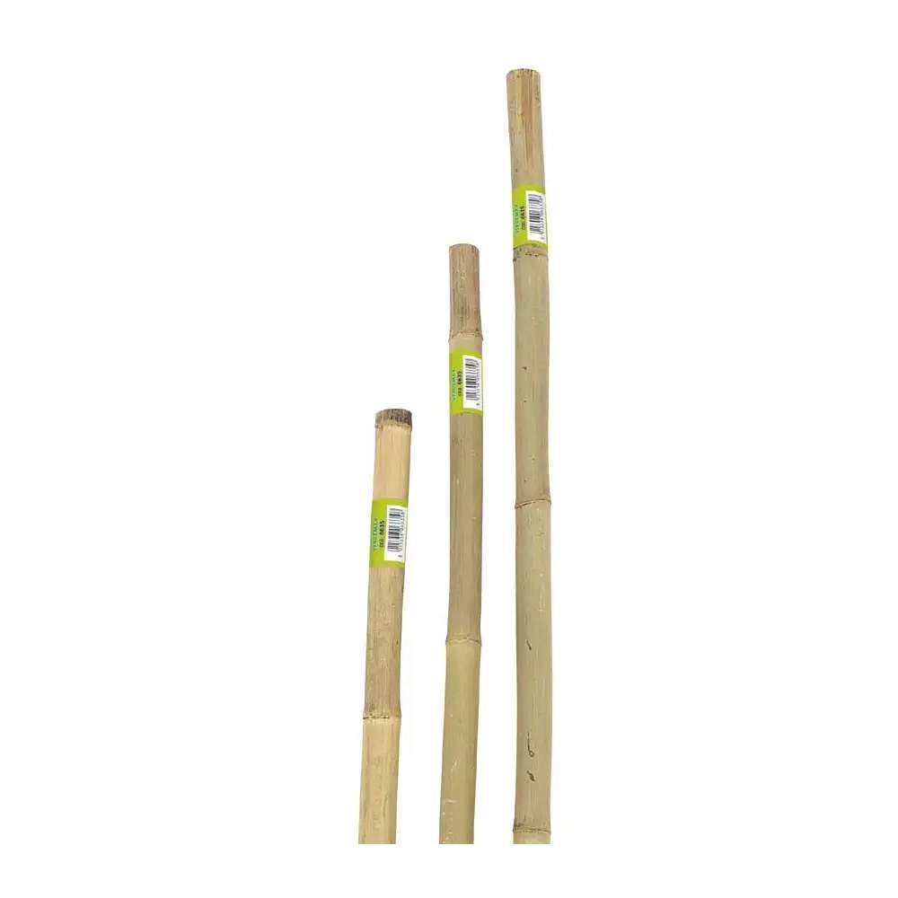 Canna in Bamboo Pesante per Piante e Ortaggi Tutori 22-24 mm Verdemax Formato: h 180 cm