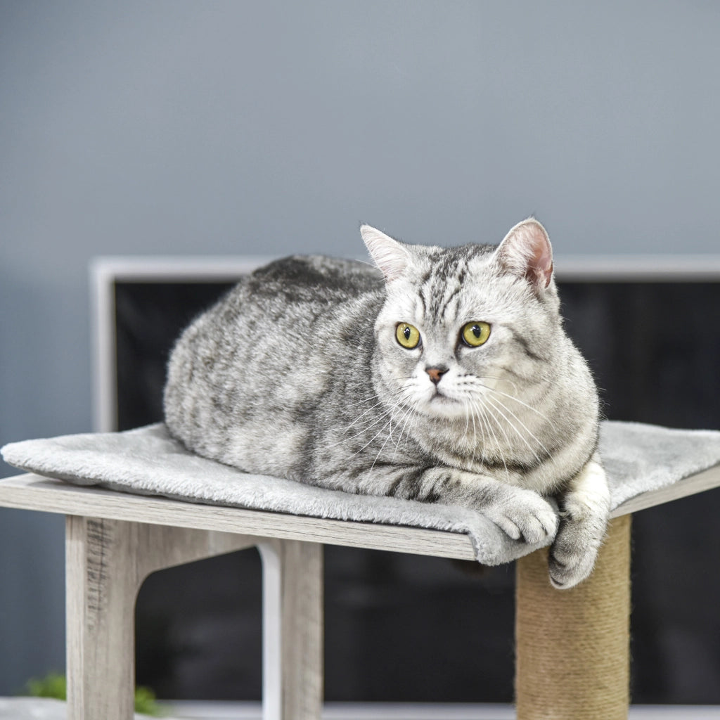 Tiragraffi per Gatti con Cuccia e Corde ¨C Minimal ¨C Grigio 67x38.5x114 cm