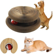 Pannello di cattura 2 in 1 per gatti con organo a tasti e pannello di cattura pieghevole, giocattolo per gatti con sviluppo intellettuale.