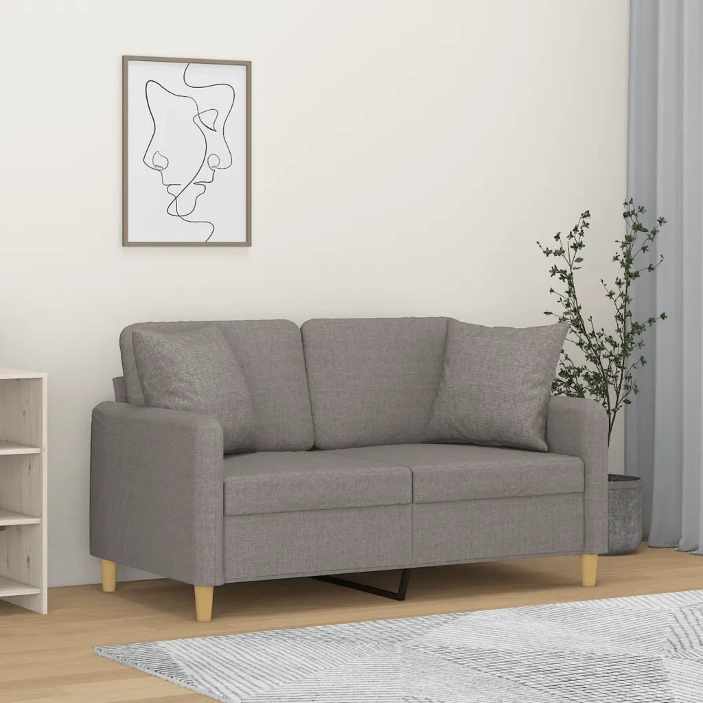 Divano a 2 Posti con Cuscini-Sofa 2 Posti con Cuscini Grigio Chiaro 120 cm in Tessuto 243983