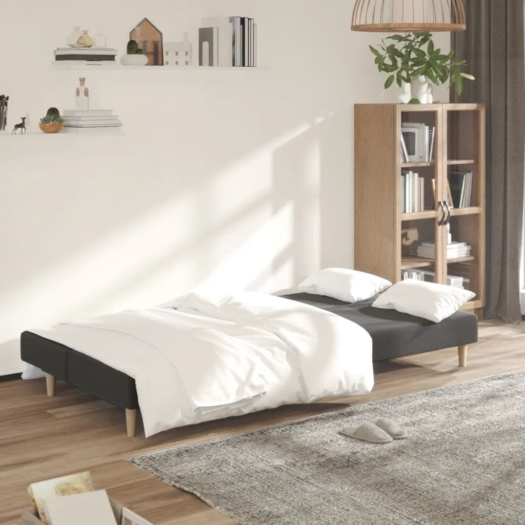 Divano letto | Sof¨¤ letto | Letto singolo a 2 Posti Grigio Scuro in Tessuto
