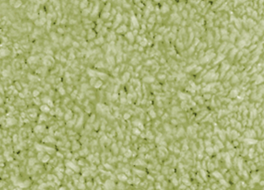 Tappeto Da Bagno Disegno Pois - 65x130 - Verde