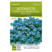Myosotis Alpestris o Non ti scordar di me DB
