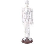 Modello di Acupressione Uomo/Donna - Modello di Punti di Pressione e Meridiani - Modello di Punti di Pressione del Corpo - Modello di Pratica di Acupressione - Gravure ad Alta Definizione - Posizionamento Preciso