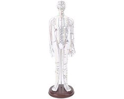 Modello di Acupressione Uomo/Donna - Modello di Punti di Pressione e Meridiani - Modello di Punti di Pressione del Corpo - Modello di Pratica di Acupressione - Gravure ad Alta Definizione - Posizionamento Preciso