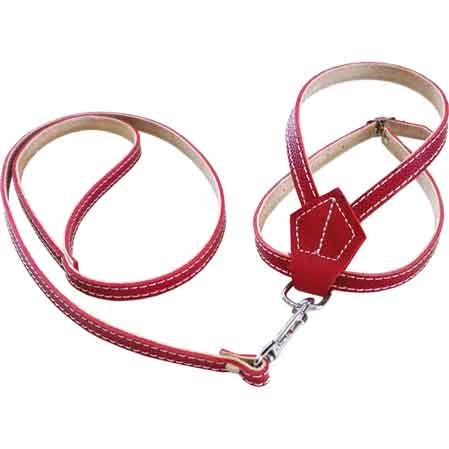PARURE PER CANI 10x600 mm
