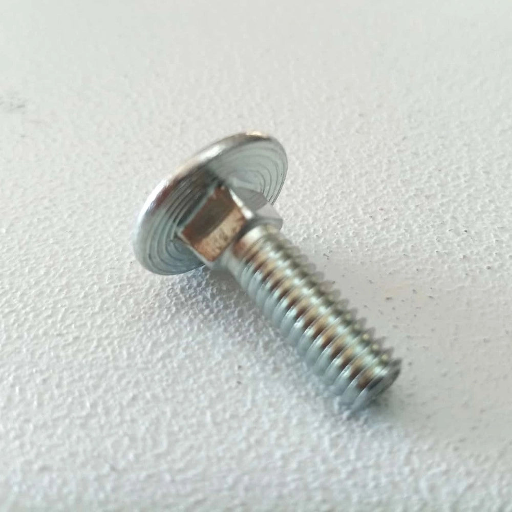 Vite carrettiere 6x25mm - 10pz vite metrica testa tonda con quadro sottotesta bassa resistenza