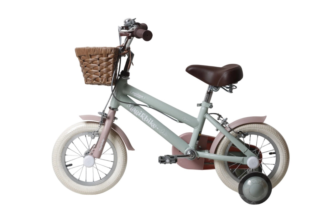 Bicicletta per Bambine Antonella 12 Pollici con Stabilizzatori e Cestino Verde e Rosa Verde e Rosa