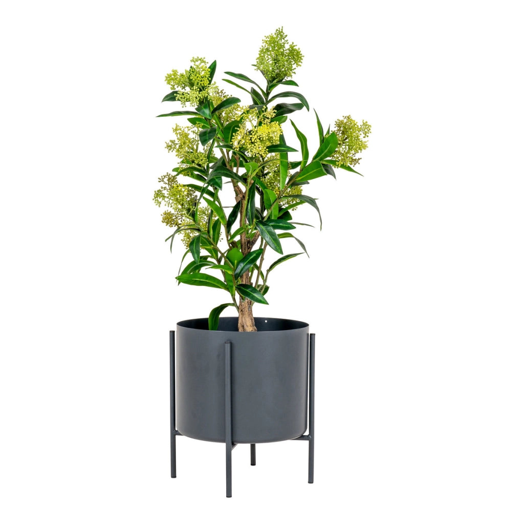 Pianta Artificiale Skimmia, Verde, Polietilene, 40x40x75 cm