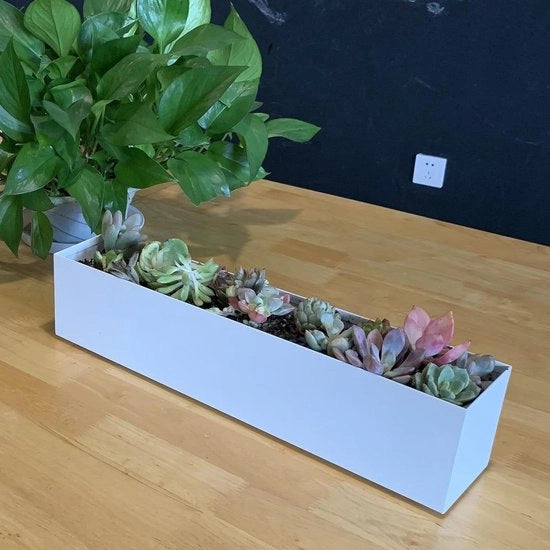 Trogplanter da 16" in acciaio bianco per uso interno
