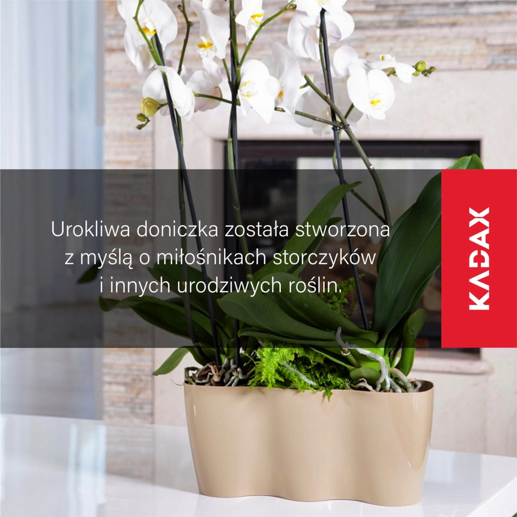 Vaso da fiori KADAX, Vaso da fiori, Vaso da fiori in plastica, Orchidea, 35 cm, Beige